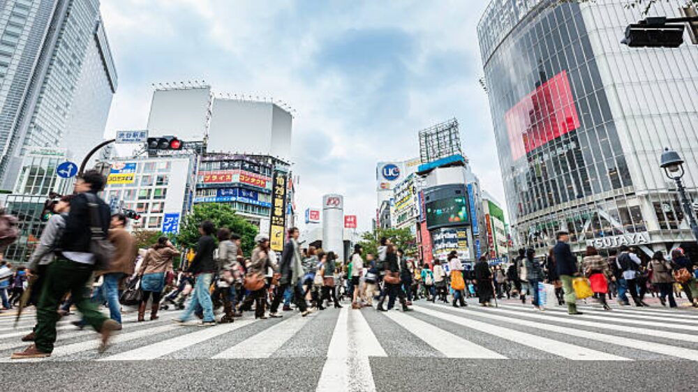 スニーカーダンク即購入の総括